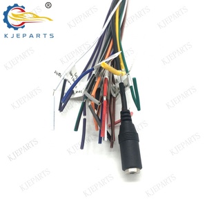 Adaptador personalizado de 20 pines, arnés de cableado completo para coche, Cable de altavoz estéreo para Boss Radio Lady Shoes, vestido negro - Product Image 4