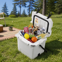 Bacs de rangement robustes de 13 L pour la maison, en plastique isolé, avec poignée métallique portable, glacière de jardin pour pique-nique, bateau, barbecue
