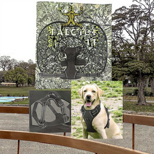 Meilleur prix Offre Spéciale <span class=keywords><strong>Style</strong></span> de luxe <span class=keywords><strong>harnais</strong></span> pour chien de compagnie doux respirant Polyester gilet réfléchissant sangle de poitrine laisses motif solide - Product Image 3