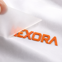 Machine d'impression 3D par transfert thermique pour étiquettes PVC, étiquettes PU gaufrées, transfert thermique avec encre, logo personnalisé, rouleau écologique pour vêtements