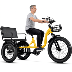 Triciclo Elettrico MF33 a 2 Posti per Adulti, 750W 48V 20Ah, Autonomia 85 Miglia, Batteria Certificata UL, E-Bike a 3 Ruote con Pneumatici Larghi, Anteriore - Product Image 1