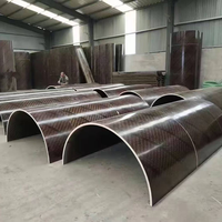 Contreplaqué peuplier filmé haute résistance réutilisable 18mm 21mm avec colle WBP pour coffrage de colonnes circulaires pour la construction en béton