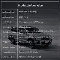 Kit d'éclairage d'ambiance intérieur personnalisé pour Geely Okavango L 2023-2026, 22 LED couleur fantôme, quatre portes, 12V 10W, garantie 1 an