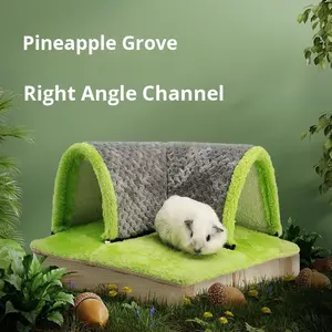 Benodigdheden Voor Kleine Dieren-Haakse Ananasroostertunnel Voor Cavia-Eekhoorns Hamsters Konijnen Chinchilla 'S Suikerzweefvliegtuigen - Product Image 1