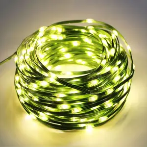 Novo LED Strip Lights Garden Holiday Decor Waterproof Outdoor Light String 20M 50M 100M Street Garland Com 24V Transformador De Potência