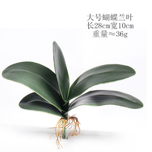 All'ingrosso vero tocco grande e piccola dimensione orchidea foglie artificiali tocco reale foglia di orchidea per il matrimonio e la decorazione della casa - Product Image 2