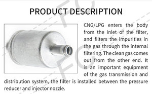 Filtro de Gas a Buen <span class=keywords><strong>Precio</strong></span> para Piezas de Equipos de Conversión de Coches 11*11 12*12 14*14mm Gng Lpg Conversión para Kit de Inyección Secuencial Gnv - Product Image 6