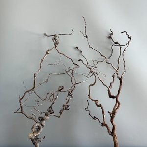 Offerta Speciale: Alberi Artificiali <span class=keywords><strong>in</strong></span> <span class=keywords><strong>Legno</strong></span> Ecologici e Durevoli, <span class=keywords><strong>Rami</strong></span> di Fiori Secchi, Elemento Decorativo Moderno Dragon Jujube Ignifugo - Product Image 1