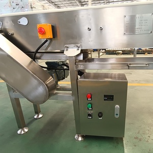 Convoyeur en acier inoxydable pour aliments et boissons, facile d'entretien, à lamelles SS304, support technique Expert Maker - Product Image 5