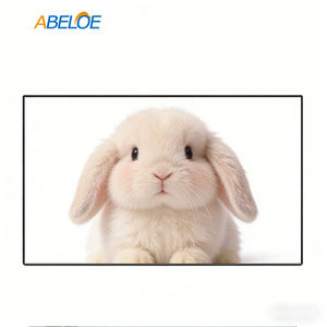 Panneau LCD BOE DV220X2M-NV0 22 pouces 1920×1920 500cd/m² Module d'affichage à large angle WLED - Product Image 4