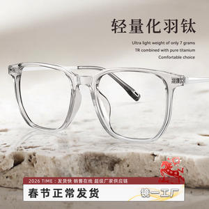 Gafas rectangulares transparentes de montura completa Danyang para mujer 86103, lentes de PC, montura de titanio a la moda - Product Image 4