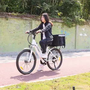 Cheap Electric Bicycle 250W 350W 500W 750W City Aluminum bicycle ebike 48v 26inch 28inch Delivery E Bike