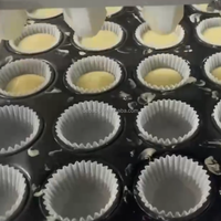 Machine à former des biscuits multifonctionnelle DEBACK, à grande échelle, entièrement automatique, à longue durée de vie, pour la farine, déposeuse de biscuits