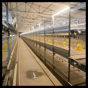 Trous de ventilation de base Bac d'alimentation facile à nettoyer Convient aux petits passe-temps de cottage Élevant des cages à poulets de chair à usage quotidien - Product Image 1