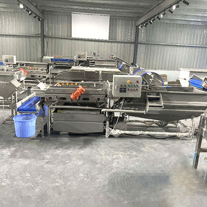 Línea de Procesamiento Rápido Totalmente Automática para Clasificación, Corte, Lavado y Secado de Frutas y Verduras - Product Image 3