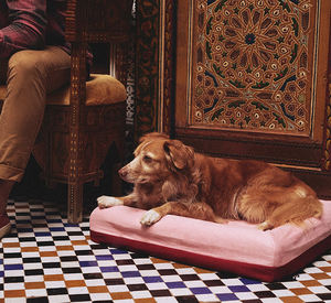 Lits orthopédiques de luxe pour animaux de compagnie, lavable et amovible, en mousse à mémoire de forme, pour grands chiens et chats, OEM/ODM - Product Image 4