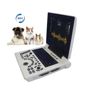 Rayman Veterinary Laptop Ultrasound Medical Equipment for Sale Ultrasonic Diagnostic Instrument ultrasound scanner