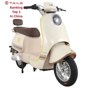 TAILG chinesischer hochwertiger preisgünstiger 1000w Ckd E-Scooter Elektromotorräder Motorradmotor Elektroroller für Erwachsene
