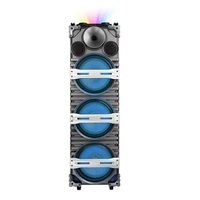 Enceinte portable de 12 pouces pour DJ en extérieur, 120W, avec microphone sans fil