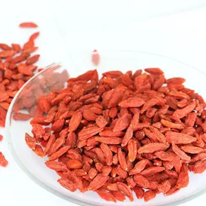 new arrival top quality fresh goji berry dried fruit from Ningxia China