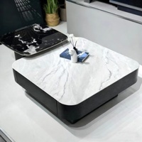 Table basse de style nordique de luxe avec certification CE européenne Table basse haut de gamme pour hôtel, appartement, salon familial