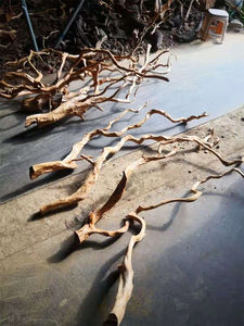 יערות גשם עץ שורשי קישוט להיסחף עץ עבור אקווריום דגי טנק קישוט - Product Image 5