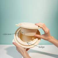 Boîtes à lunch biodégradables de haute qualité Contenants jetables écologiques pour la préparation de repas à emporter avec couvercles
