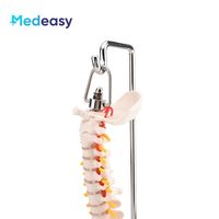 Modelo de columna vertebral humana de 45CM, modelo de esqueleto de columna vertebral con pelvis para estudio de exhibición de enseñanza