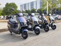 Sepeda Motor Listrik Dewasa Jarak Jauh 1000W, Skuter Listrik Komuter Kecepatan Tinggi