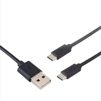 Câble de charge Type C 1 à 2 ports USB, câble de données pour lunettes intelligentes, accessoires de câble de charge GS11
