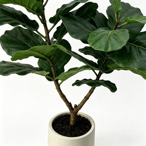 Artificial <b>Tree</b> Green <b>Potted</b> with Piano Leaf Banyan Ornaments for Living Room Floor Simulation - Product Image 5