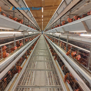 Sıcak galvanizli yumurta koleksiyonu en kanatlı çiftlik otomatik tel örgü pil kafesleri için kanatlı tavuk tabakası H tipi tanzanya - Product Image 2