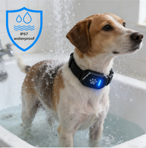 Coleira Rastreadora <span class=keywords><strong>GPS</strong></span> 4G para Cães e Gatos Pet Smart com Material Plástico à Prova d'Água IP67 e Carregamento Magnético - Product Image 5