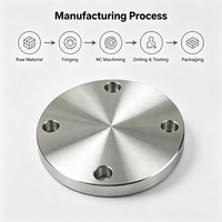 Blind Flange Bersertifikasi CE Baja Tahan Karat ANSI B16.5 Kelas 150/300 3/4 Inci ASME/API untuk Petrokimia OEM/ODM