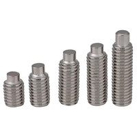 Vis à tête hexagonale à empreinte hexagonale en acier inoxydable de qualité 12.9, grade 304 316, M6 M8 M10 M20 Din915, avec pointe en forme de chien
