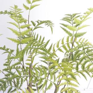 <span class=keywords><strong>ต้นไม้</strong></span>ประดิษฐ์ ใบเฟิร์นพลาสติก หญ้าเปอร์เซีย เป็นมิตรกับสิ่งแวดล้อม สมจริงสูง ตกแต่งบ้านและสวนในร่ม - Product Image 4