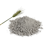 Ciment d'alumine ultra-résistant, anti-abrasion, réfractaire, pour la soudure, la découpe, résistant à la chaleur, pour les grands et moyens fours à ciment
