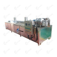 Beste Prijs Hoge Efficiëntie 304 Roestvrijstalen Frites En Aardappelchips Blancheermachine Voor Fruit-En Groenteverwerking