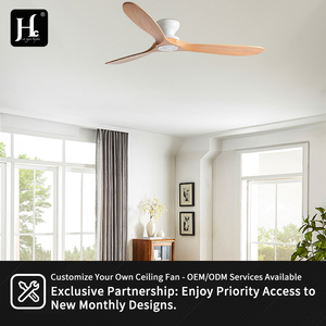 52-inch F787 Brushless DC Pendant Fan with Adjustable <b>Light</b> Intensity. Features 3 ABS Blades. Modern Pendant Fan. - Product Image 5