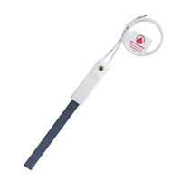 Allumeur en céramique de nitrure de silicium 120V 380W pour poêle à granulés