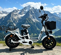 Vélo Électrique à Assistance Électrique avec Panier Avant et Porte-Bagages Arrière, Moteur Brushless 800W, Batterie Lithium 48V, Pneu Neige 16 Pouces pour Adulte