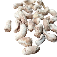 Champignons comestibles de serre cultivés en Chine emballés dans un sac pour la nourriture Tige de champignon shiitake tranchée Offre Spéciale