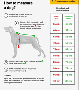 Camiseta de manga corta y pantalón corto, - Product Image 6