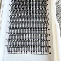 005 Plateaux à base étroite et pointus en fibre noire légère, application facile pour les experts en beauté, cils à pointes, cils Comic Spire
