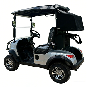 Carrito de Golf Eléctrico Semiautomático Premium de 2 Plazas y Vehículo Turístico con Batería de Litio de 72V150A, 35KM/H, Carrocería Completamente de Plástico - Product Image 1