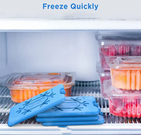 Vente chaude HDPE Réutilisable Gel Congélateur Glace Mini Grand Bloc De Glace Boîte Glacière Boîte À Lunch Glace Brice Pour Le Stockage Des Aliments