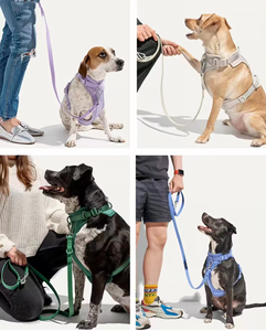 Set tali kekang dan kekang anjing silikon PVC lunak neoprena antiair dapat diatur kerah anjing kustom mewah - Product Image 5