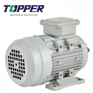 1HP 2HP 3HP 4hp 5hp ba giai đoạn 1500rpm 3000rpm 380V AC động cơ điện nhỏ AC động cơ - Product Image 3