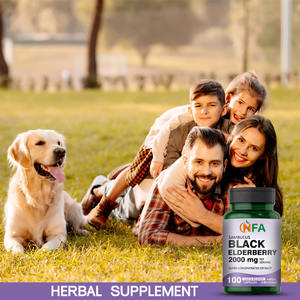 Lower Priect Sambucus Black Saúco Suplemento promueve la salud respiratoria y mejora el bienestar general Cápsulas de saúco - Product Image 6