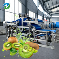 NUOKUN 2025 Hoge Efficiëntie Voedselveilige RVS 3000kg/u Sinaasappel-Ananas Sapcentrifuge Machine Motor Eenvoudig 2.2kw